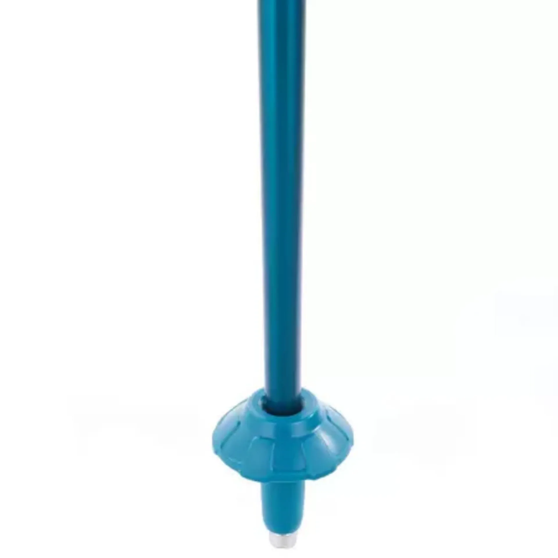 Hiking pole-Blue
